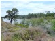 Lot 26 Ella Court, Loxton SA 5333