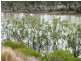 Lot 26 Ella Court, Loxton SA 5333