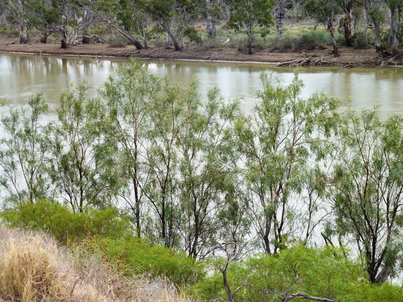Lot 26 Ella Court, Loxton SA 5333