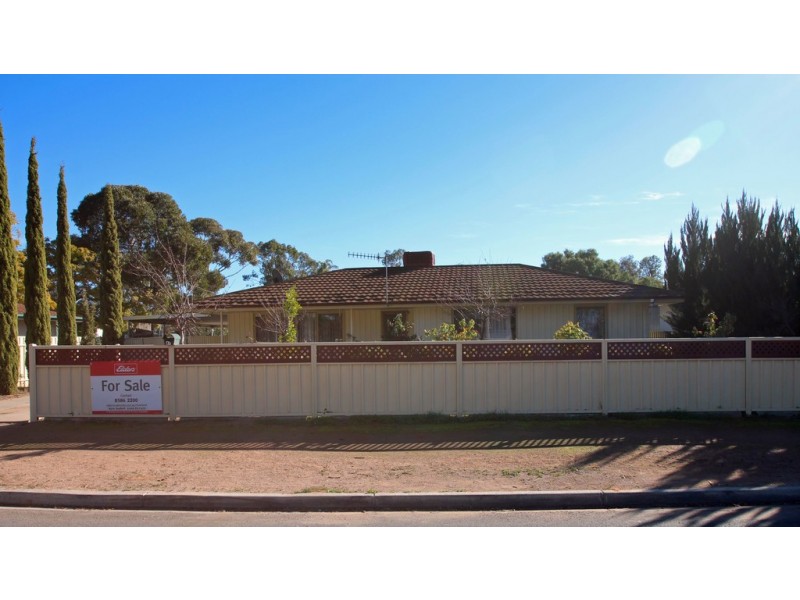 41 Sims Parade, Renmark SA 5341