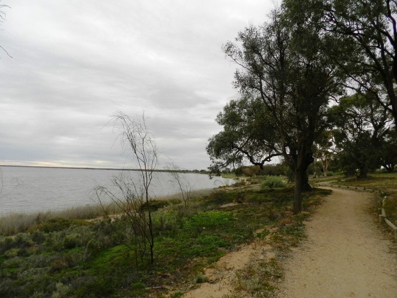 Lot 2 Queen Elizabeth Drive, Barmera SA 5345