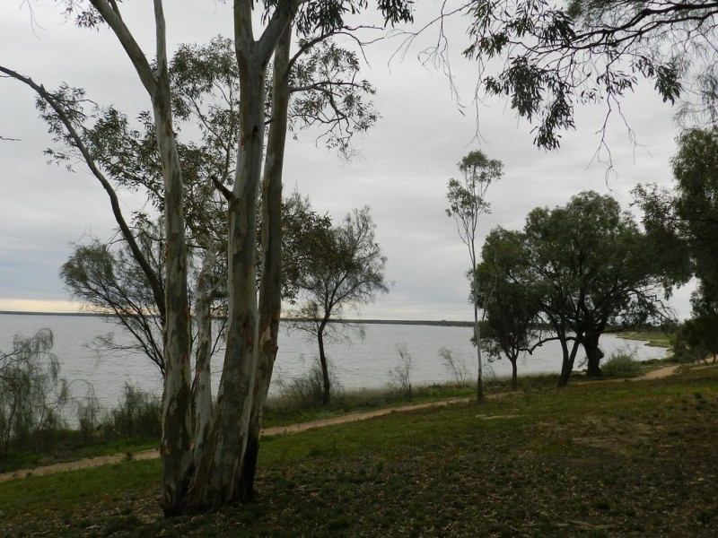 Lot 2 Queen Elizabeth Drive, Barmera SA 5345