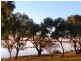 Lot 2 Queen Elizabeth Drive, Barmera SA 5345