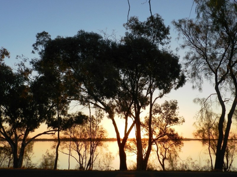 Lot 2 Queen Elizabeth Drive, Barmera SA 5345