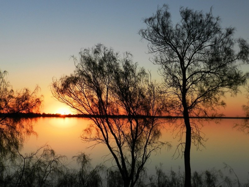 Lot 2 Queen Elizabeth Drive, Barmera SA 5345