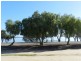 34 Queen Elizabeth Drive, Barmera SA 5345