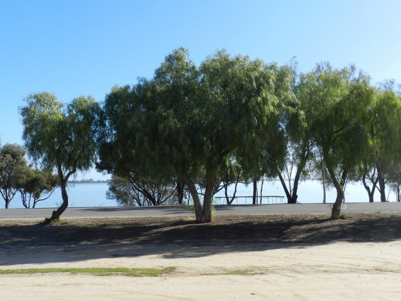 34 Queen Elizabeth Drive, Barmera SA 5345