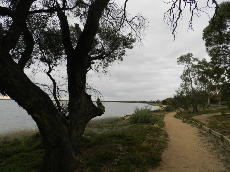 34 Queen Elizabeth Drive, Barmera SA 5345