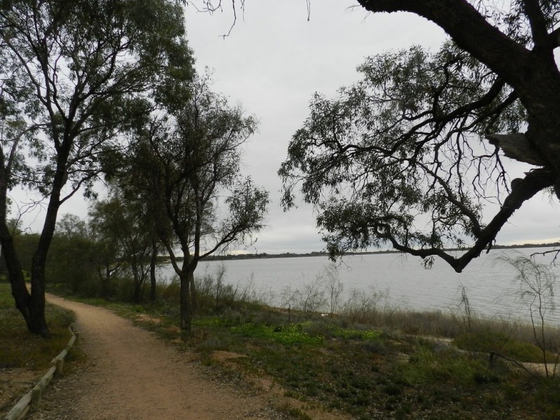34 Queen Elizabeth Drive, Barmera SA 5345