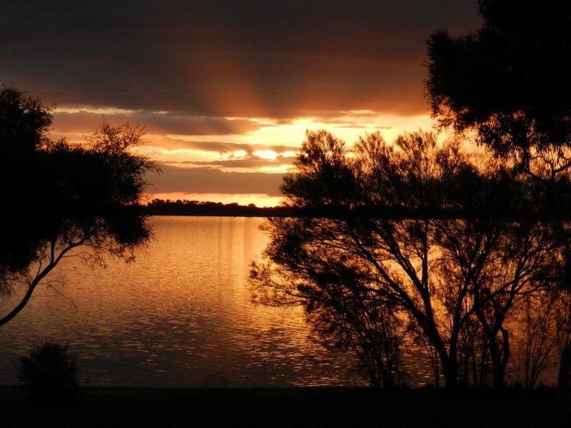 34 Queen Elizabeth Drive, Barmera SA 5345