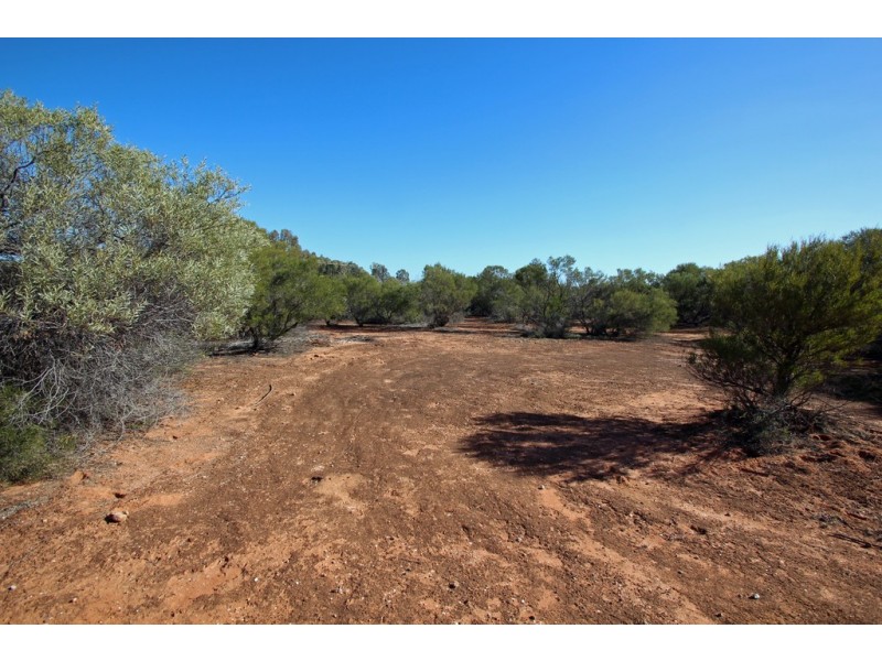 334 Pike Creek Road, Lyrup SA 5343