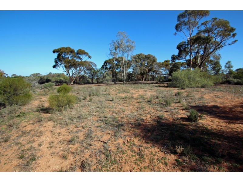334 Pike Creek Road, Lyrup SA 5343