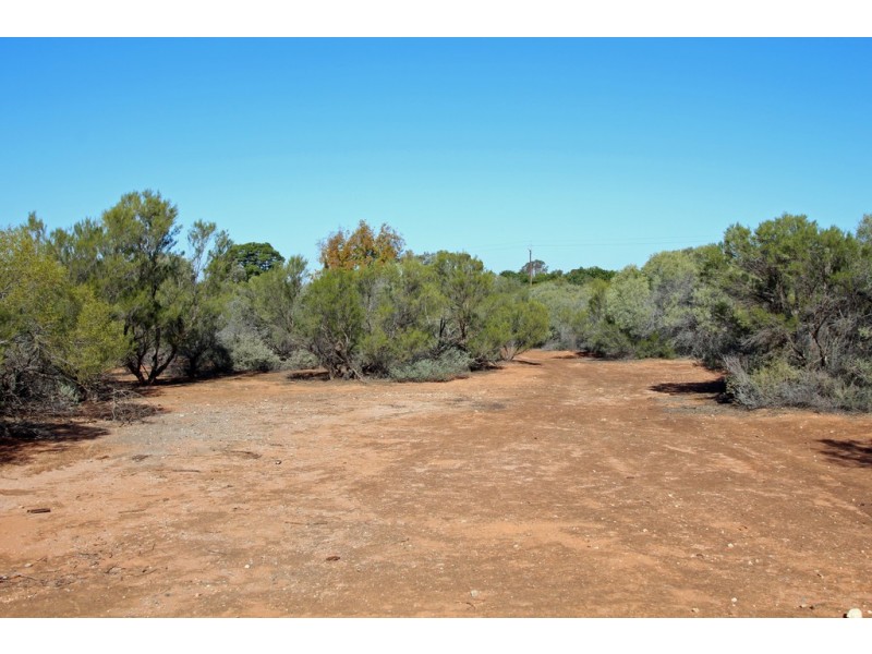 334 Pike Creek Road, Lyrup SA 5343