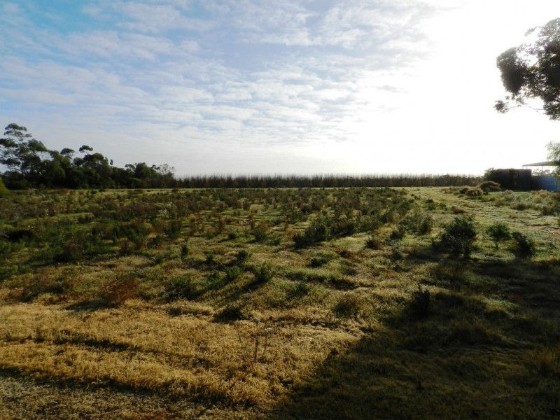 1372 Rumball Road, Winkie SA 5343