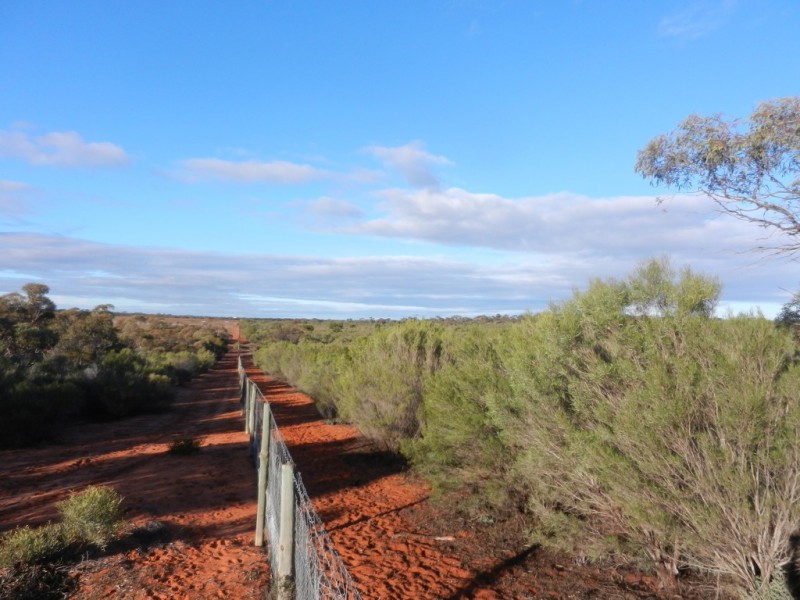 Lot 37 Nicholls Road, Renmark SA 5341