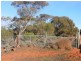 Lot 37 Nicholls Road, Renmark SA 5341