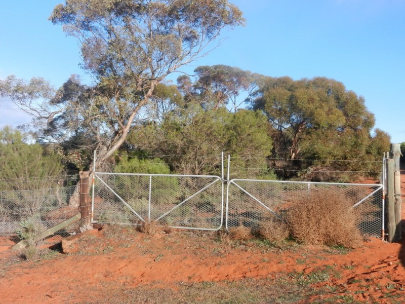 Lot 37 Nicholls Road, Renmark SA 5341