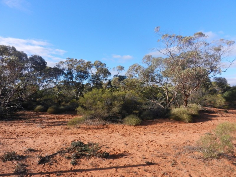 Lot 37 Nicholls Road, Renmark SA 5341