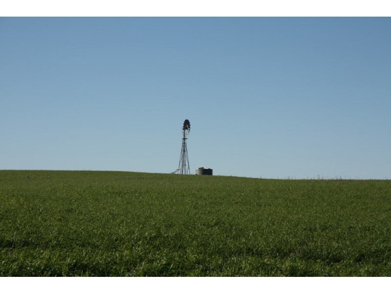 Section 50 Hundred of Allen, Alawoona SA 5311