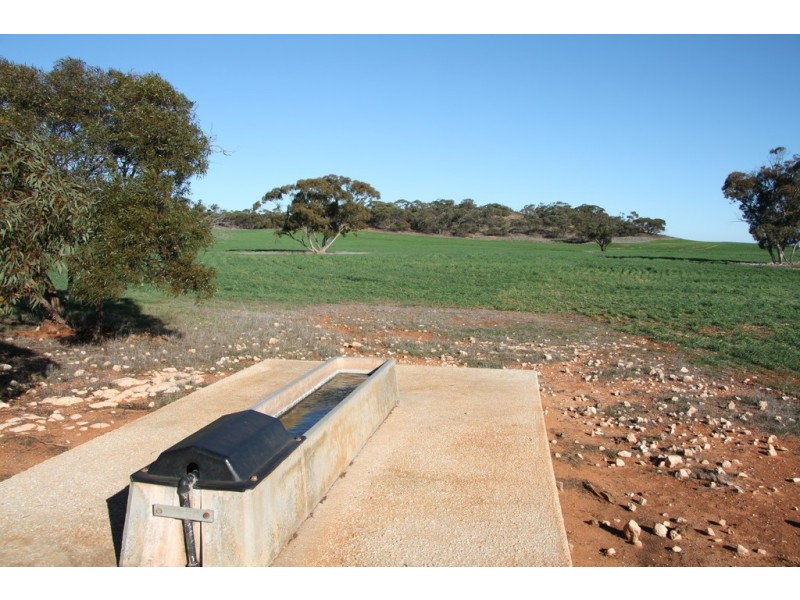 Section 50 Hundred of Allen, Alawoona SA 5311