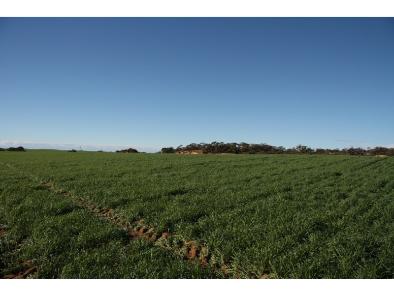 Section 50 Hundred of Allen, Alawoona SA 5311