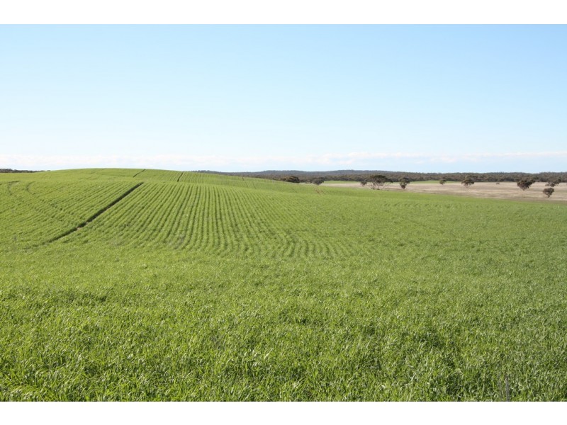 Section 50 Hundred of Allen, Alawoona SA 5311