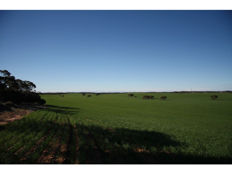 Section 50 Hundred of Allen, Alawoona SA 5311