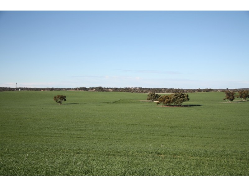 Section 50 Hundred of Allen, Alawoona SA 5311