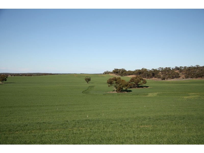 Section 50 Hundred of Allen, Alawoona SA 5311