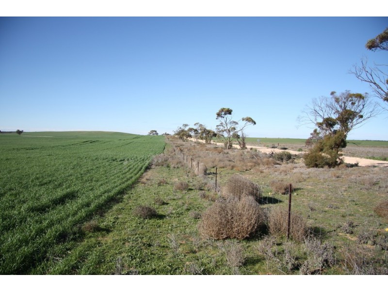 Section 50 Hundred of Allen, Alawoona SA 5311