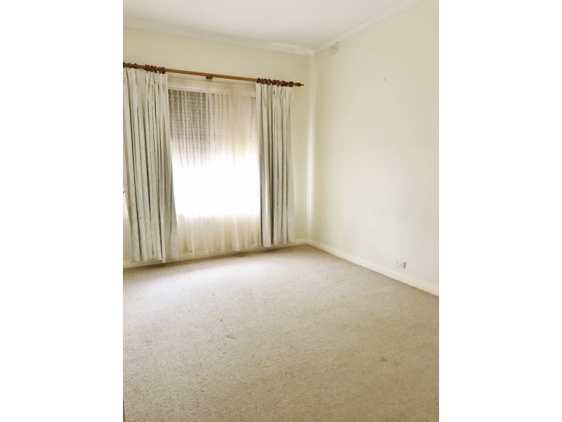 4 Petch Street, Loxton SA 5333