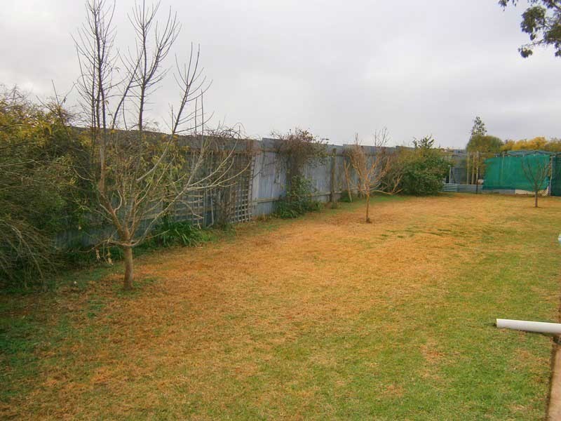 12627 Sturt Highway, Waikerie SA 5330