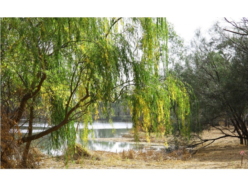 Lot 2 Nitschke Road, Loxton SA 5333