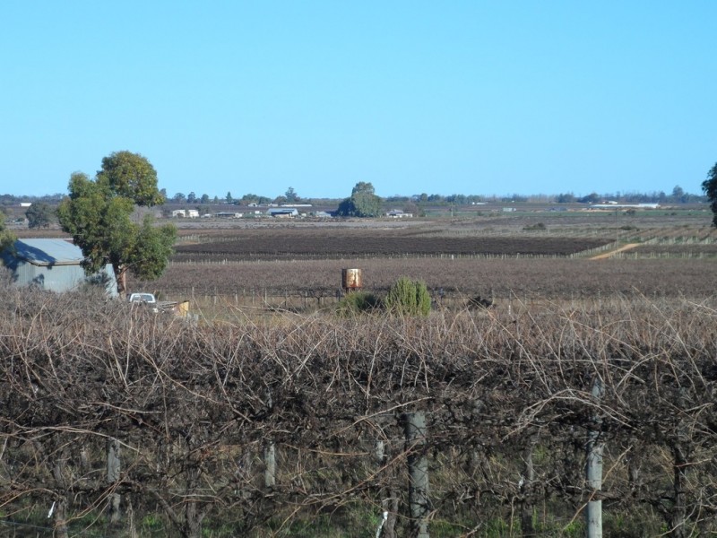 Anderson and Derrick Roads, Loxton North SA 5333