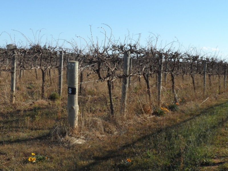 Anderson and Derrick Roads, Loxton North SA 5333