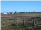 Anderson and Derrick Roads, Loxton North SA 5333