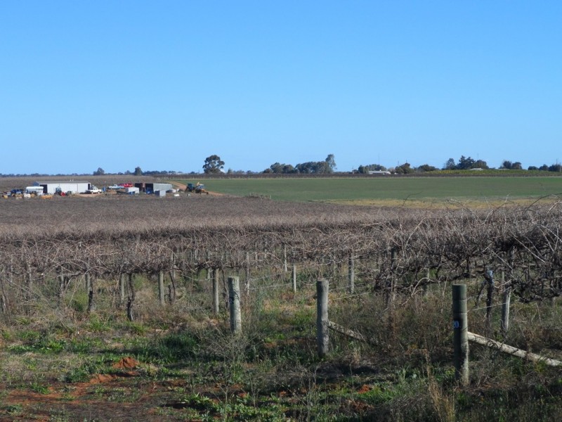 Anderson and Derrick Roads, Loxton North SA 5333