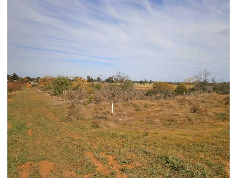 12650 Sturt Highway, Waikerie SA 5330