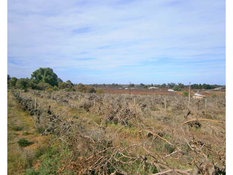 12650 Sturt Highway, Waikerie SA 5330