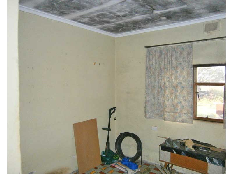 12650 Sturt Highway, Waikerie SA 5330