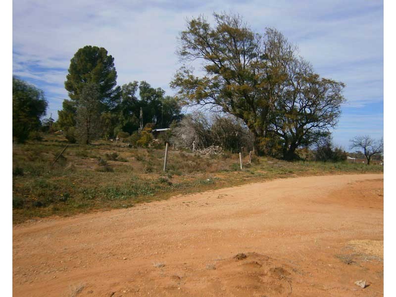 12650 Sturt Highway, Waikerie SA 5330