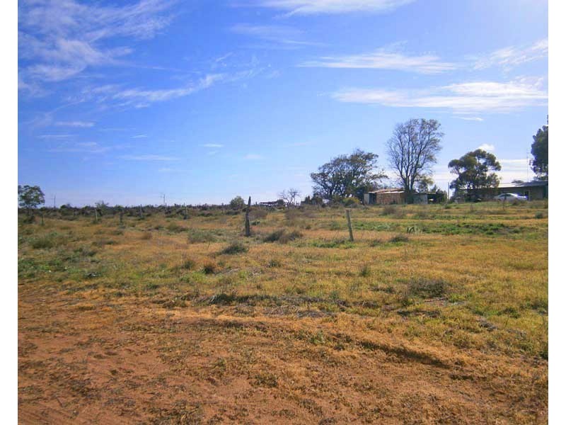 12650 Sturt Highway, Waikerie SA 5330