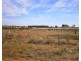12650 Sturt Highway, Waikerie SA 5330