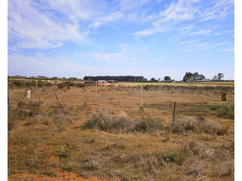12650 Sturt Highway, Waikerie SA 5330