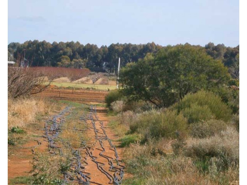 12650 Sturt Highway, Waikerie SA 5330