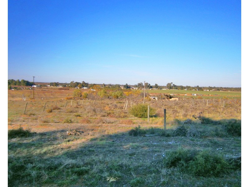 12650 Sturt Highway, Waikerie SA 5330