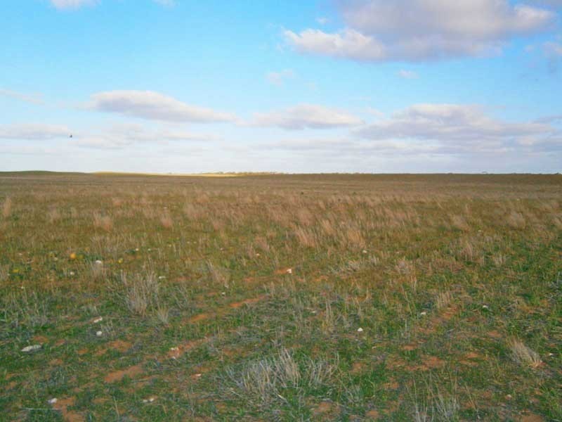 Lot 3 Naidia Road, Swan Reach SA 5354