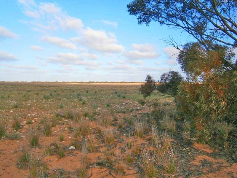 Lot 3 Naidia Road, Swan Reach SA 5354