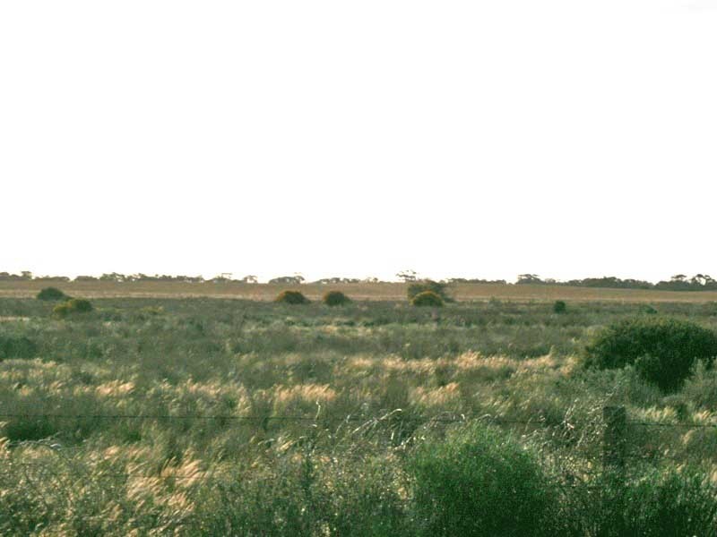 Lot 3 Naidia Road, Swan Reach SA 5354