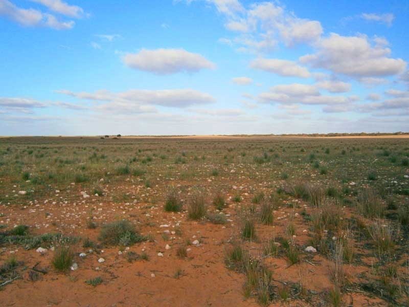 Lot 3 Naidia Road, Swan Reach SA 5354